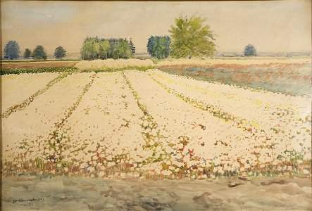 Stanisław Masłowski (1853-1926) Buckwheat Field Landscape, watercolour, 1922