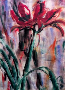 1924 Rohlfs Amaryllis