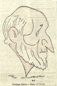 1925-02-28, El Imparcial, Santiago Ramón y Cajal, Pellicer