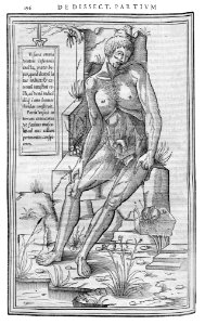 196 Charles Estienne 1545