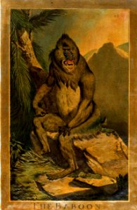 20, Great Baboon, Charles Catton's Animals (1788) (cropped)