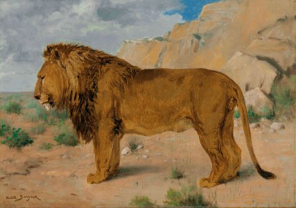2013 NYR 02739 0035 rosa bonheur study of a lion)