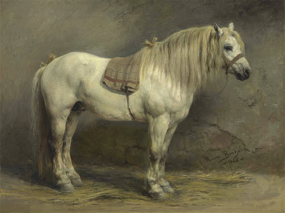 2017 NYR 14141 0079 rosa bonheur a white horse)