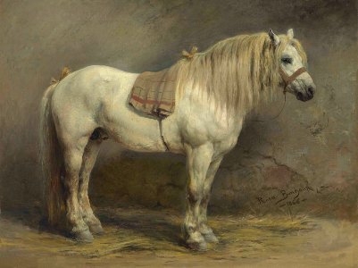 2017 NYR 14141 0079 rosa bonheur a white horse). Free illustration for personal and commercial use.