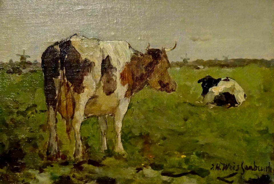 20161020 Koeien in de wei Weissenbruch