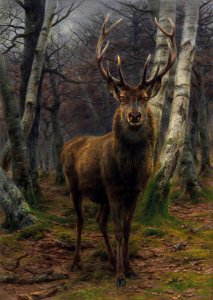 2017 NYR 14141 0024 rosa bonheur le roi de la foret)