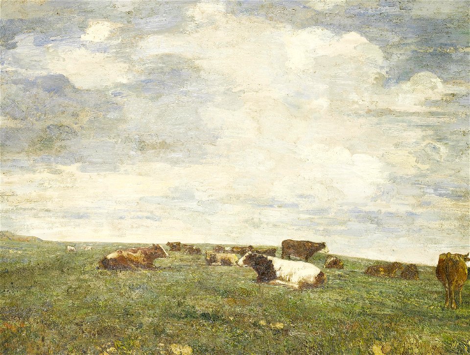 2017-02 Beppe Ciardi - Cattle in the field