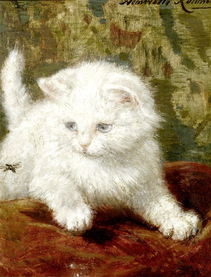 2017-02 Henriette Ronner-Knip - Curiosity