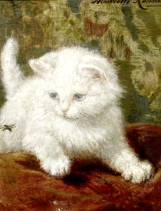 2017-02 Henriette Ronner-Knip - Curiosity