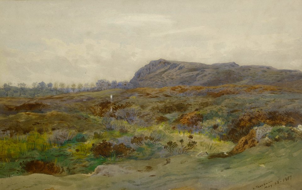 2017-02 Archibald Thorburn - Moorland landscape
