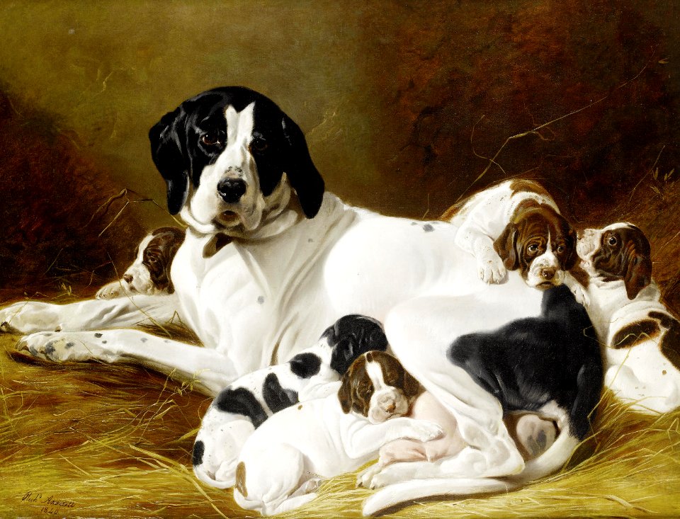 2017-02 Richard Ansdell - The new litter