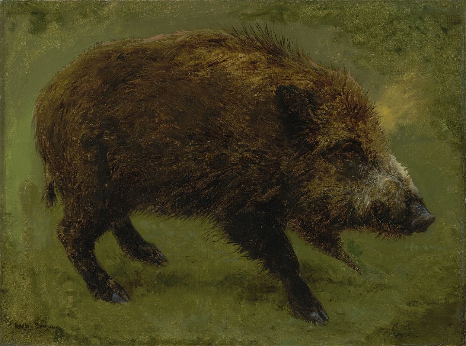 2018 NYR 16391 0107 rosa bonheur le sanglier)