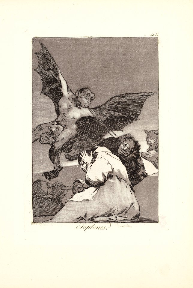 2020 NYR 19889 0048 000(francisco de goya y lucientes tale-bearers - blasts of wind plate 48 f083903)