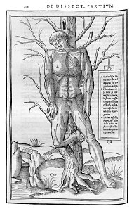 202 Charles Estienne 1545