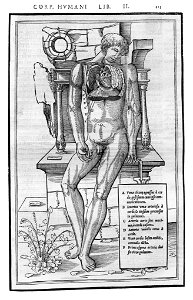213 Charles Estienne 1545