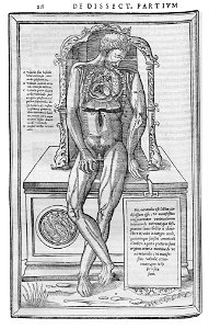 218 Charles Estienne 1545