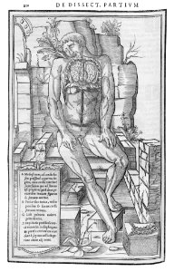 210 Charles Estienne 1545