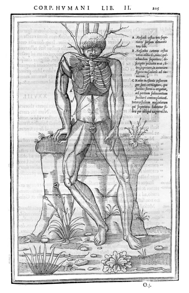 205 Charles Estienne 1545