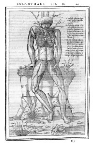 205 Charles Estienne 1545