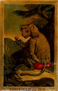 22, Child of the Sun, Charles Catton's Animals (1788) (cropped)