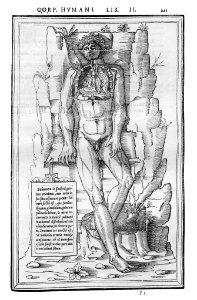 221 Charles Estienne 1545