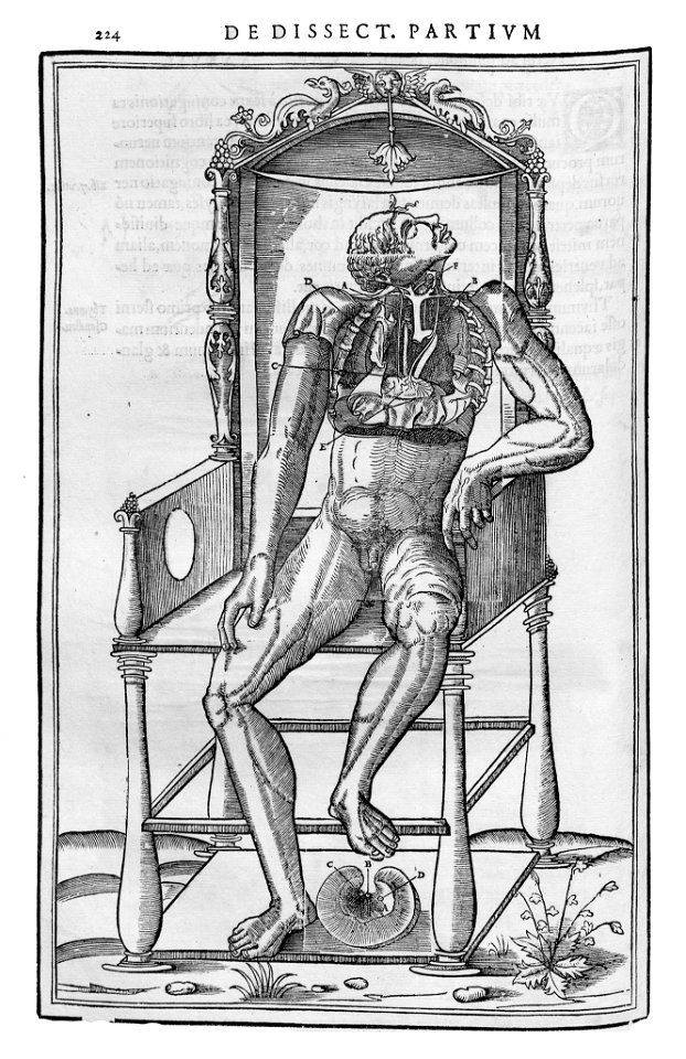 224 Charles Estienne 1545