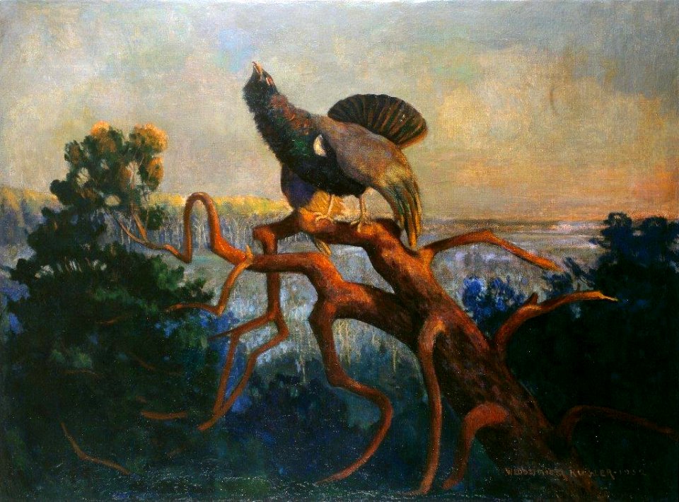 23 O ŚWICIE W PUSZCZY 1932