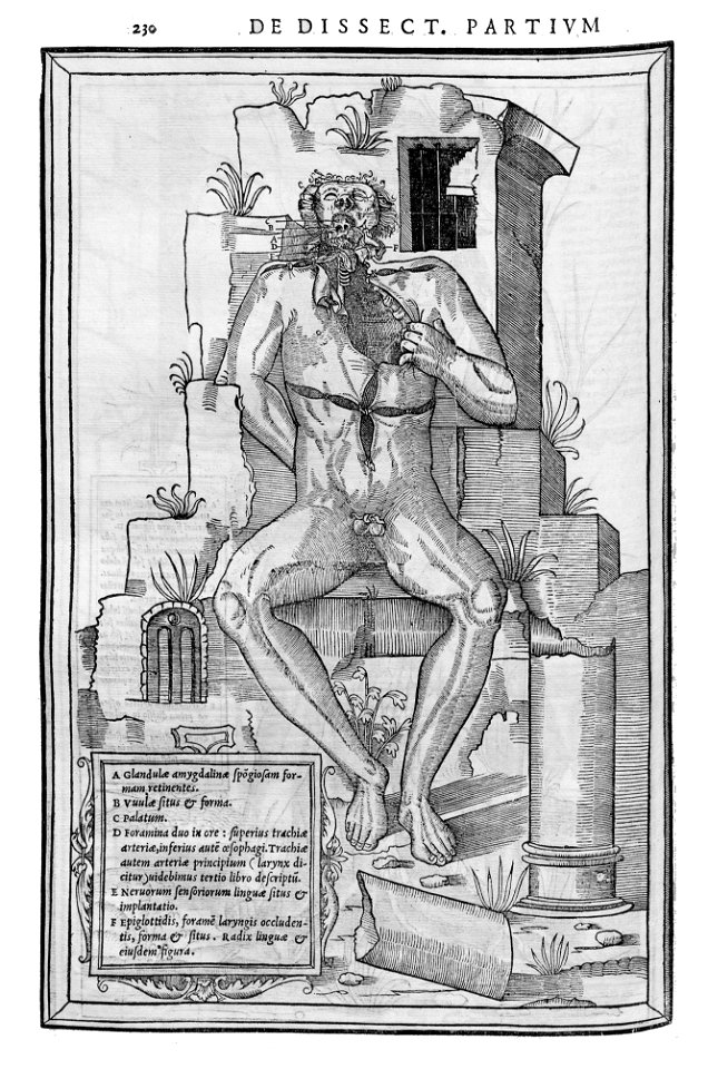230 Charles Estienne 1545