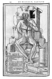 230 Charles Estienne 1545