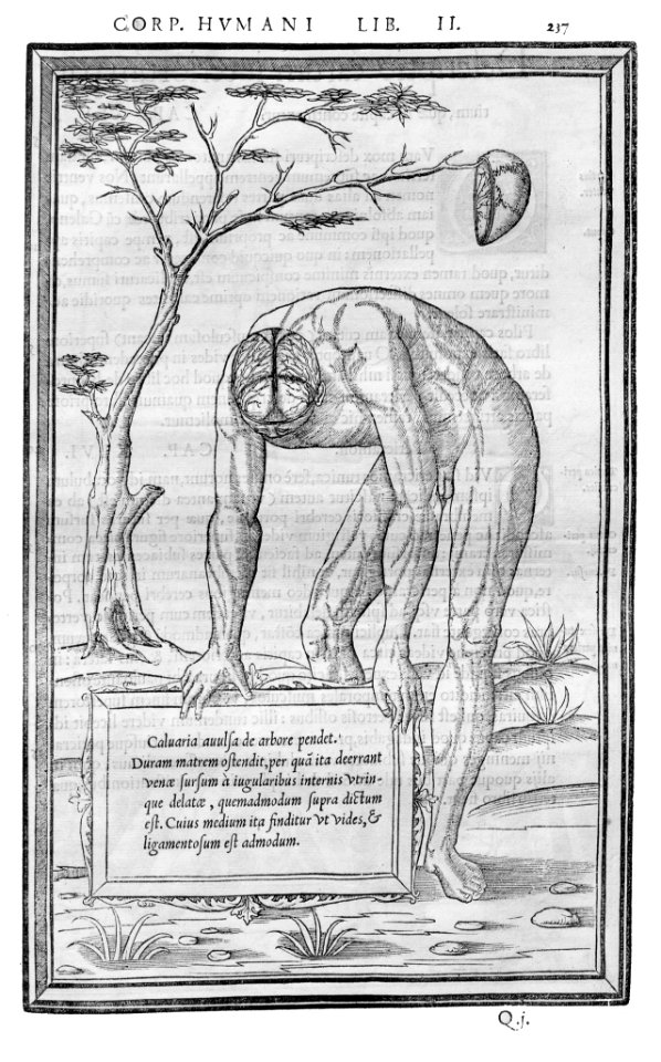 237 Charles Estienne 1545