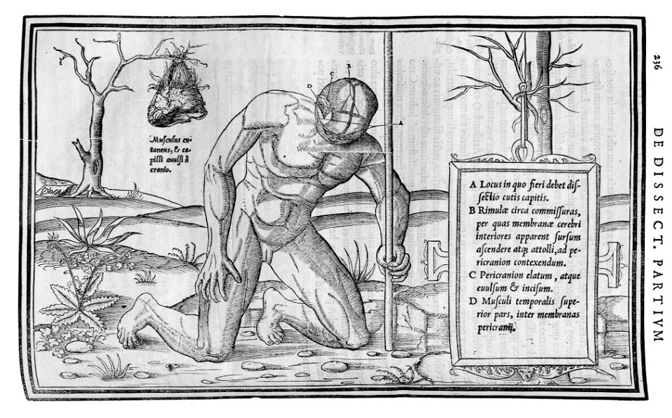 236 Charles Estienne 1545
