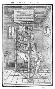 241 Charles Estienne 1545