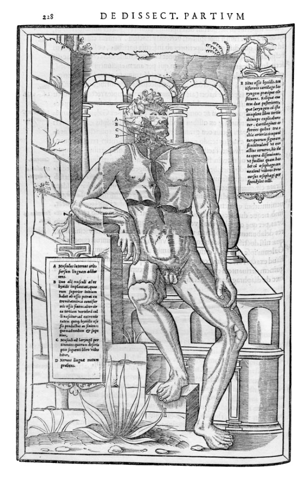 228 Charles Estienne 1545