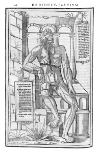 228 Charles Estienne 1545