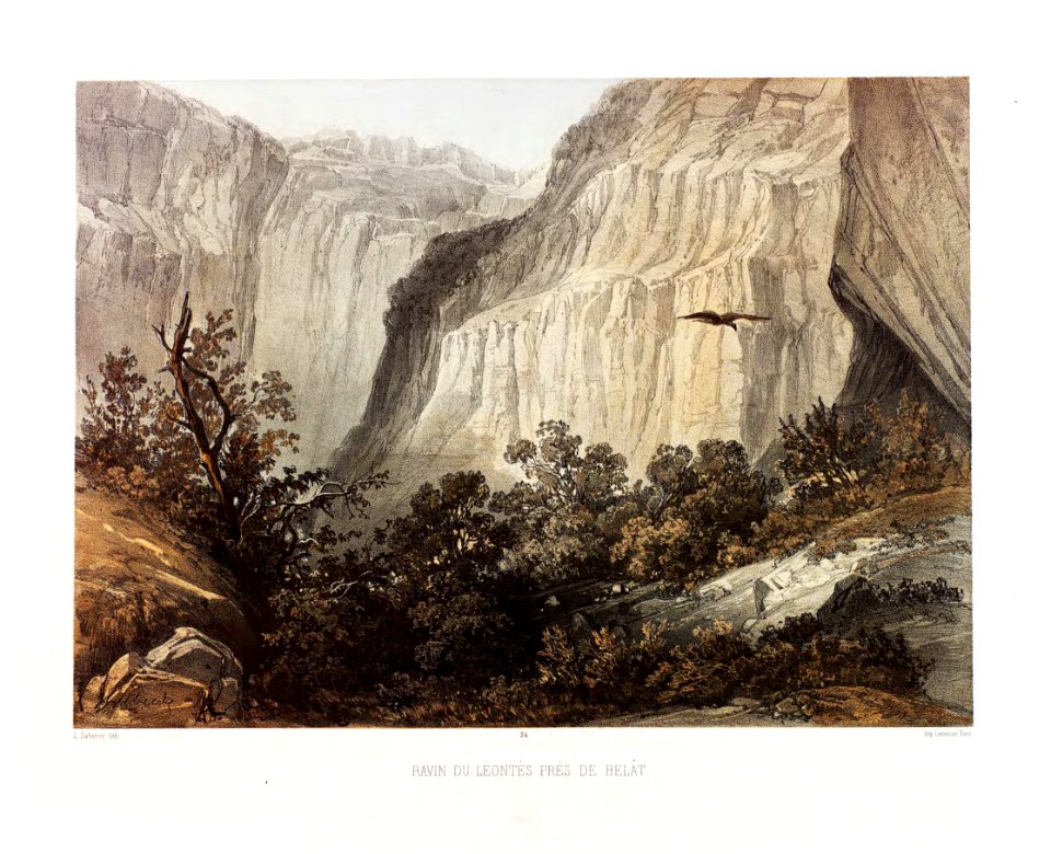 24.Ravin du Leontes pres de Belat