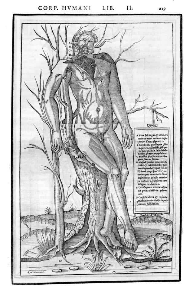 229 Charles Estienne 1545