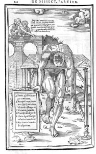 242 Charles Estienne 1545