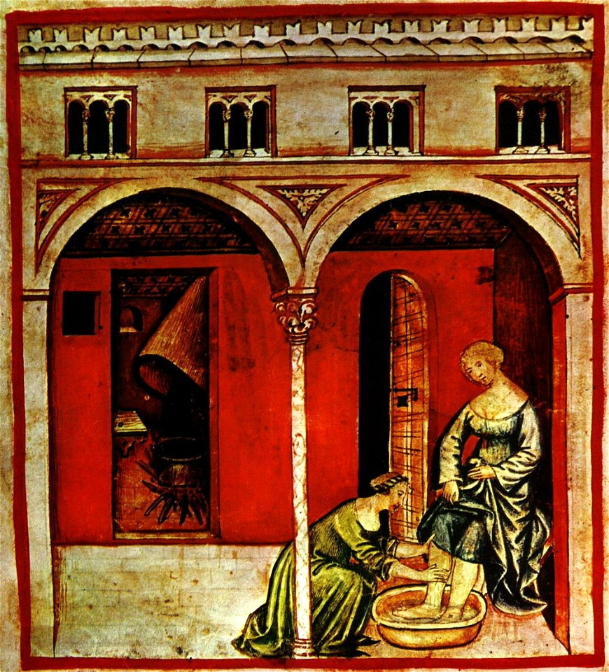 25-alimenti, acqua calda,Taccuino Sanitatis, Casanatense 418
