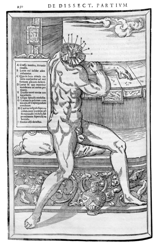 250 Charles Estienne 1545