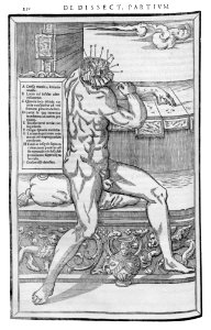 250 Charles Estienne 1545