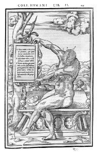 239 Charles Estienne 1545