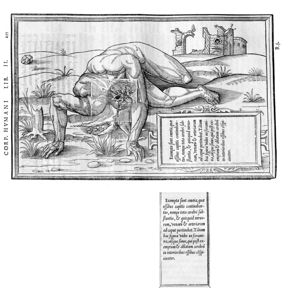 253 Charles Estienne 1545