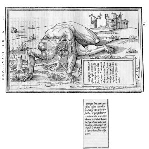 253 Charles Estienne 1545