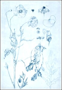 26 mucha documentsdecoratifs 1901