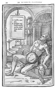 260 Charles Estienne 1545