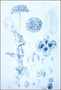 27 mucha documentsdecoratifs 1901