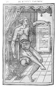 270 Charles Estienne 1545