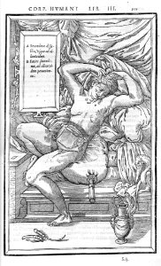 271 Charles Estienne 1545