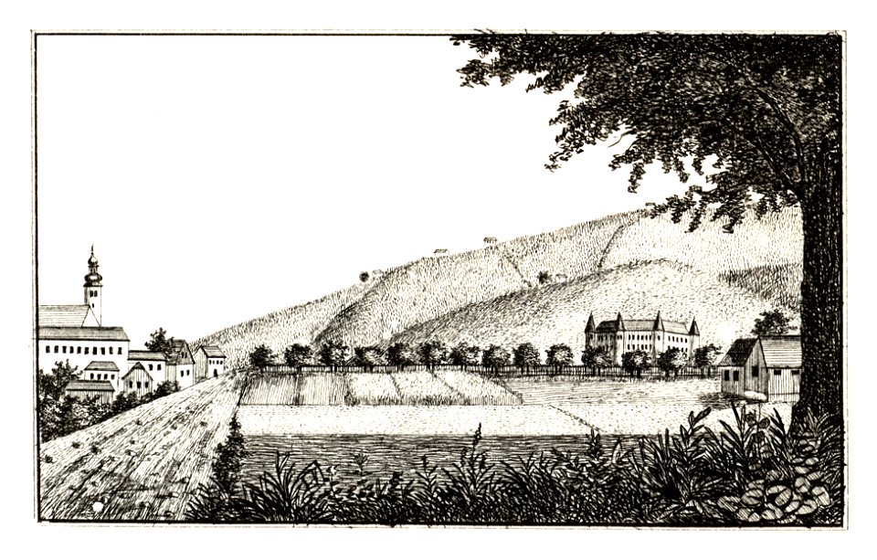 270 Markt und Burg Schleinitz, Slivnica - J.F.Kaiser Lithografirte Ansichten der Steiermark 1830