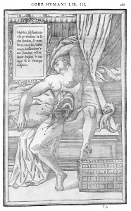 285 Charles Estienne 1545